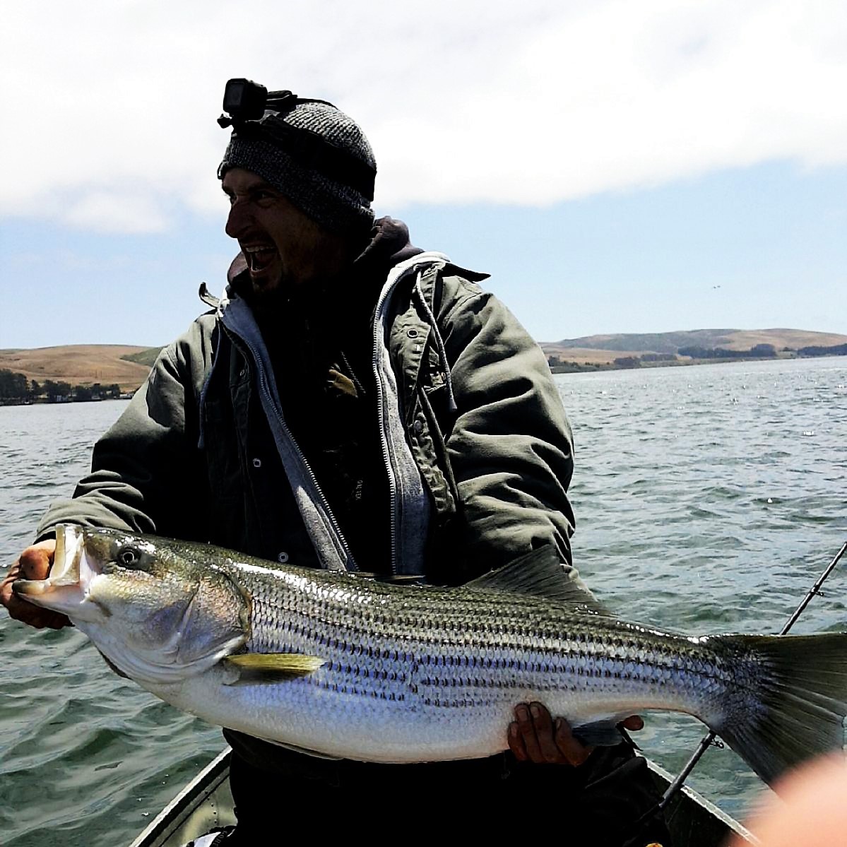 Delta fishing report deals